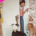 Pet Sitter