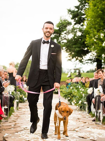 fotos de cachorros em casamentos
