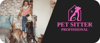 banner petsitter