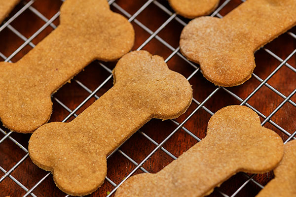 Receitas de biscoitos caseiros para cães biscoito-caseiro-cachorro
