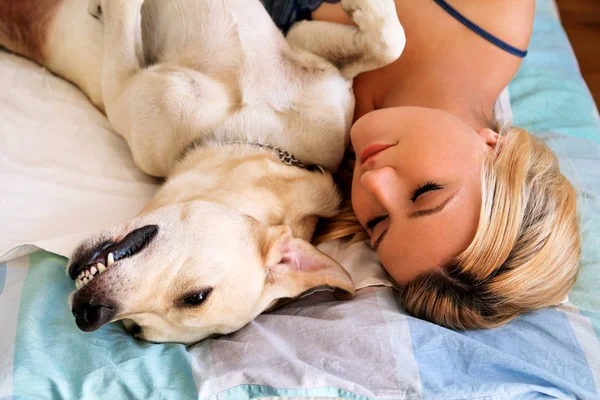 Razões pra deixar o cachorro dormir na sua cama cachorro dormir na cama