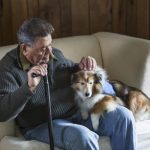 Cães de pessoas idosas - problemas comportamentais cachorro pessoas idosas