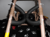 cadeira de rodas para caes 13