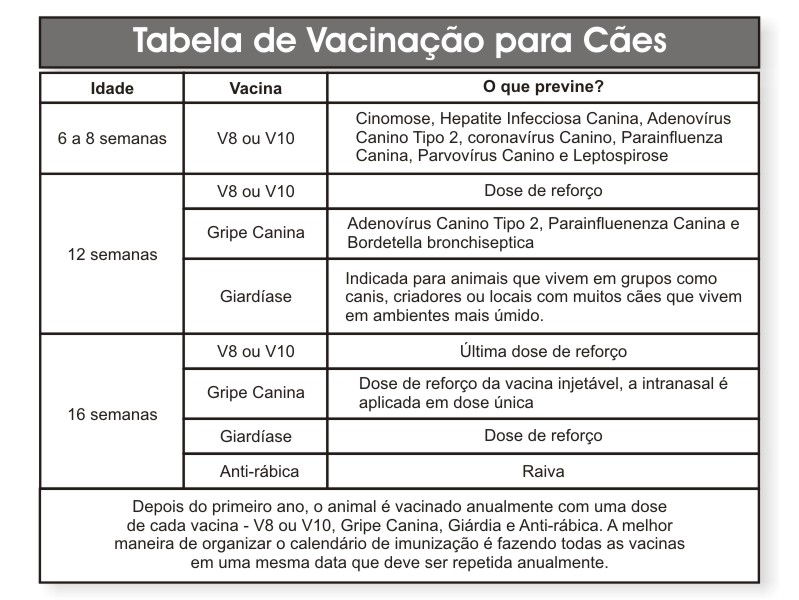 calendario de vacinacao caes