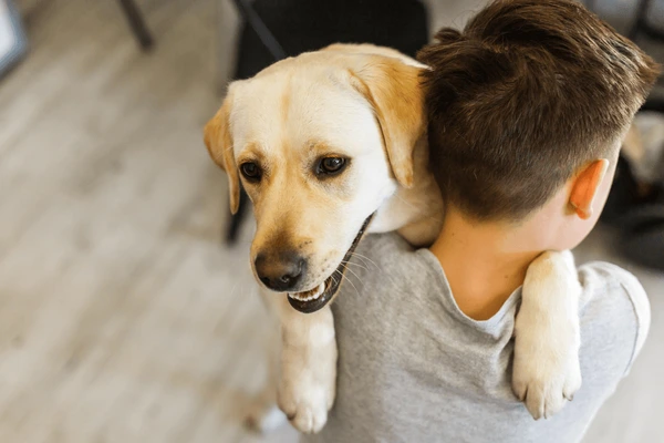 Como abraçar um cachorro como abracar cachorro