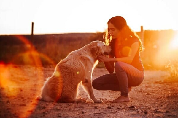 4 razões pra você conversar com o seu cachorro conversar com cachorro