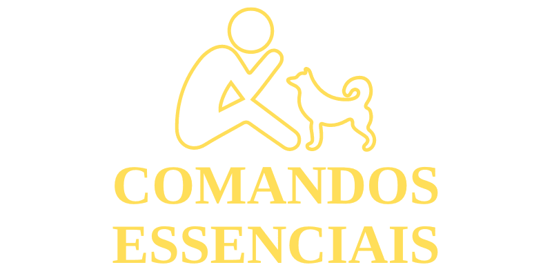 curso comandos essenciais