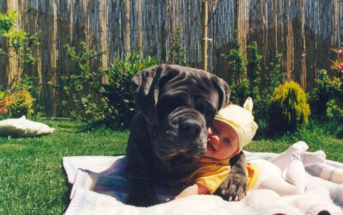 cute-big-dogs-and-babies-3