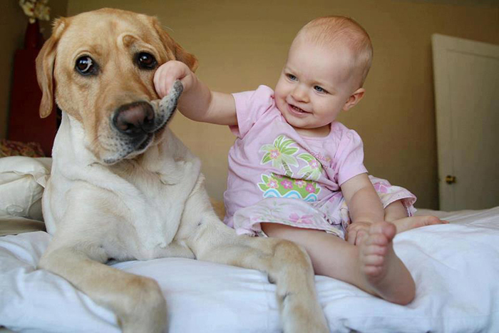 cute-big-dogs-and-babies-32