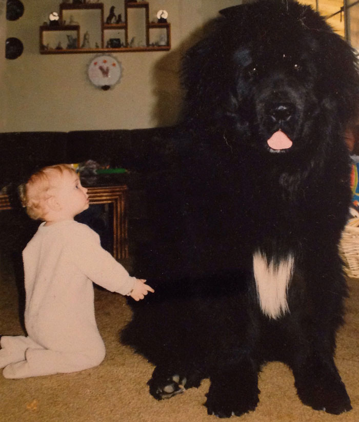 cute-big-dogs-and-babies-4
