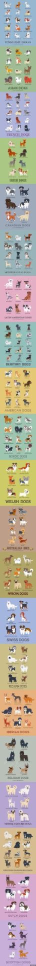 raças de cachorros