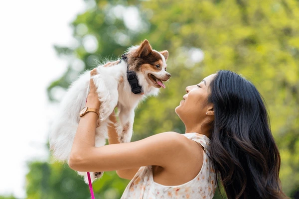 Falar igual bebê com seu cachorro dá certo? falar-voz-bebe-cachorro