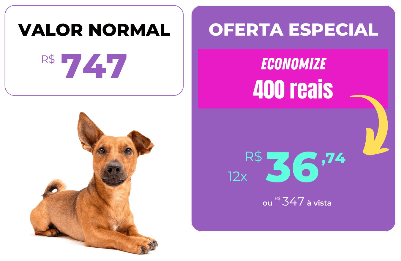 oferta xixi certo depois 1